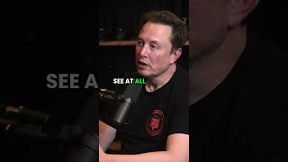 Elon Musk blindside enabling sight for the visually impaired elonmusk tesla motivation [upl. by Nemra]