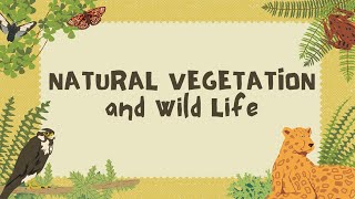 Natural vegetation and wildlife class 7 chapter 6 geography ncertsolutions ncertbook [upl. by Guthry]