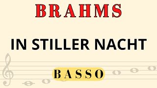 IN STILLER NACHT  BASSO J BRAHMS [upl. by Rafael]