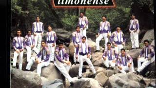 BANDA LIMONENSE DE JALISCO sigo enamorado [upl. by Elockcin]