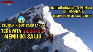 7 Gunung tertinggi di Indonesia  Ada salju di atas puncaknya [upl. by Getraer622]