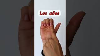 LAS PARTES DE LA MANO 🖐️ [upl. by Vincenty]