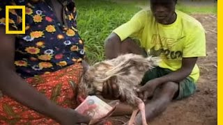 Witches of Ghana  National Geographic [upl. by Zorine]