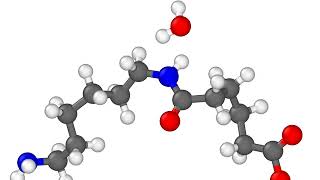 Nylon polycondensation using REACTER [upl. by Neall]