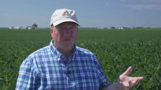 Roundup Ready® 2 Xtend® Grower Kyle Kopp of Farmer City Illinois [upl. by Terris]