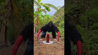 Brave Young Girl Defeats Monster Gorilla [upl. by Llenet646]