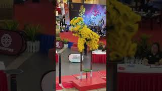 CHAMPIONSawit Wen Ching 柔佛沙威文青  MalaysiaChina Lion Dance Championship IOI Mall 20 Oct 24 [upl. by Itsyrc]