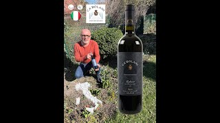 Ca Bolani  Refosco dal Peduncolo Rosso Friuli DOC Aquileia 2018  Cantina24 [upl. by Hollington808]