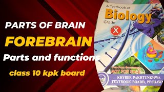 part of brainFOREBRAIN explained  CLASS 10Biologychapter 12 topic quotFOREBRAIN parts functionquot [upl. by Enitsirhk]