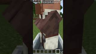 Villagers mo ncraft shortfeed [upl. by Yanahc]