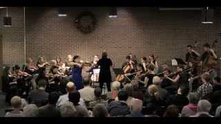 CMC Serena Hsu viola soloist Hindemith Der Schwanendreher [upl. by Munshi]