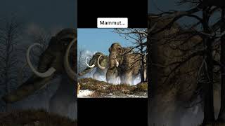 Mammut live gesichtet 👀 shorts [upl. by Shererd]