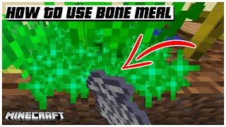 How to use bone meal in minecraft  🇺🇸 shorts [upl. by Obocaj]