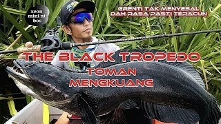 GRENTI TAK MENYESAL DAH RASA PASTI TERACUN BOSS THE BLACK TROPEDO TOMAN MENGKUANG [upl. by Naahsar940]