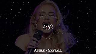 Adele  Skyfall [upl. by Judsen]