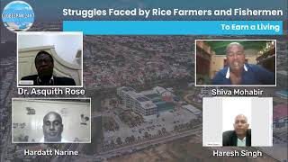 Struggles Faced by Rice Farmers and Fishermen to Earn a Living [upl. by Enaile641]