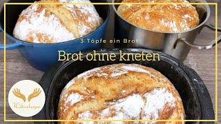 Nur 3 Stunden und 1 Tasse So ein leckeres Brot hast du noch nicht gegessen Brot ohne kneten [upl. by Ris]