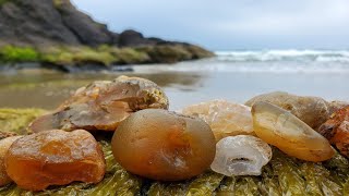 Banded Carnelian Agates And Intact Nodules At My Favorite Spot  Oregon Coast Rockhounding [upl. by Eelrac]