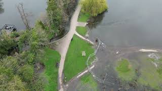 Flooded Verulamium Lake St Albans 26 March 2024 [upl. by Shiri]