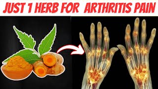 Top 9 Herbs to Say Goodbye to Arthritis Pain You Need to Know About [upl. by Eelirrem]