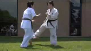 Kyokushin Demo [upl. by Auqined986]