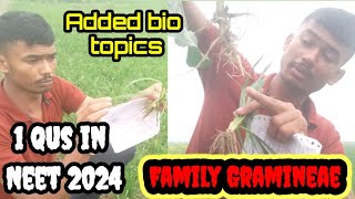 Added syllabus of biology neet family poaceae  Gramineae neet2024 biology doctor [upl. by Alvie]