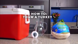 How to Safely Thaw a Frozen Turkey [upl. by Nodnart766]