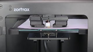 Manual Platform Calibration in Zortrax M300 Dual LPD Plus and M Series Plus 3D Printers [upl. by Ailimaj]