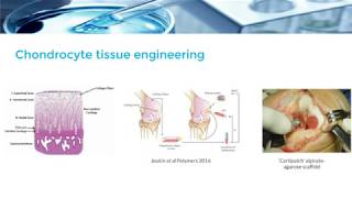 Improving Cartilage Phenotype from Differentiated Pericytes [upl. by Votaw]