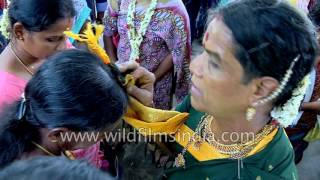 Devotees take blessings from revered Indian eunuchs during Koovagam Festival in Tamil Nadu [upl. by Platus]