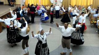 Amigos de Viseu 2015  Fado Beirão [upl. by Acirfa]