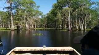 Atchafalaya Basin Air Boat Tour [upl. by Atikihs]