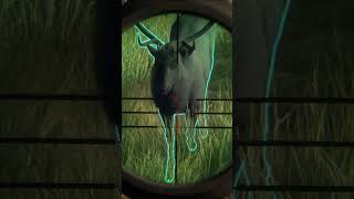 OMG Almost Messed Up a Beautiful Melanistic Elk in the Hunter Call of the Wild [upl. by Sevy]