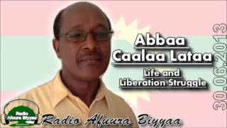 June 30 2013 RAB Interview with Abbaa Caalaa Lataa [upl. by Hock]