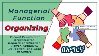 Organizing in Management በአማርኛ [upl. by Neelyar759]