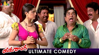 Brahmanandam amp Mamta Mohandas Ultimate Comedy  Yamadonga Telugu Movie Scenes  Jr NTR Rajamouli [upl. by Eniamurt896]