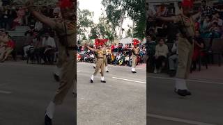 High voltage ⚡ Parade bsfparade army ncc shortsvideo shorts police short [upl. by Searby698]