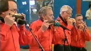 RhythmikHarmonika  Quartett Hildsheim playing Tweedle Dee [upl. by Acenahs]