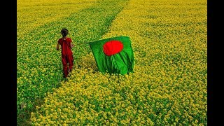 Amar Sonar Bangla Ami Tomai Valobashi Bangladesh National Song [upl. by Samford]