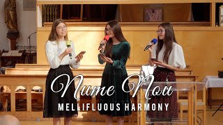 Nume nou  Mellifluous Harmony cover [upl. by Scoville]