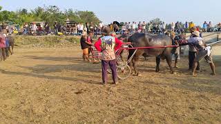 bongabon Sibuyas festival behind the scene part 2 [upl. by Atirehs]