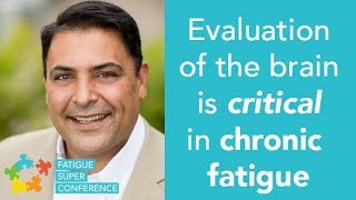 Evaluation of the brain is critical in chronic fatigue  Dr Kharrazian [upl. by Avek585]