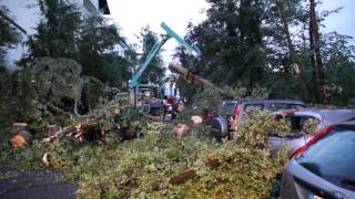 Tornado zieht Spur der Verwüstung durch Bad Schwalbach  Umgestürzte Bäume abgedeckte Dächer [upl. by Kauffman345]