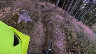 Bikepark Sankt Andreasberg Line 4 [upl. by Genesia]