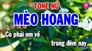 Mèo Hoang Karaoke Tone Nữ  Nhạc Sống Bolero Chất Lượng Cao  Tiên Organ [upl. by Stanhope]