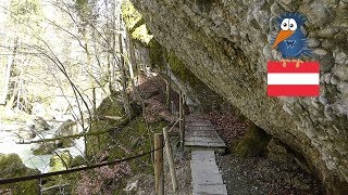 Engenlochschlucht Kommaschlucht und Wasserwanderweg mit Hängebrücke Hittisau  Bregenzerwald [upl. by Orvas]