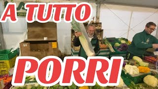 FIERA del PORRO CERVERE 45 edizione DEGIO e SONIA DE CASTELLI [upl. by Shelby765]