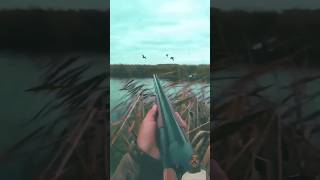 Wao amazing duck hunting охотничьеоружие hunting military airgunhunters [upl. by Nerrual]