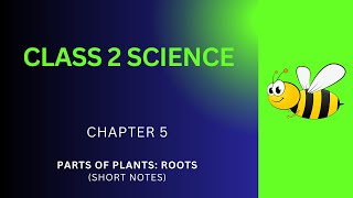 Grade 2 Science Notes  Parts of Plants Roots Ch 5 Short Notes PDF  Class 2 Science Class Notes App [upl. by Enilarak]