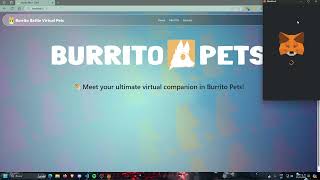 Demo video  Burrito Pets [upl. by Sanyu]